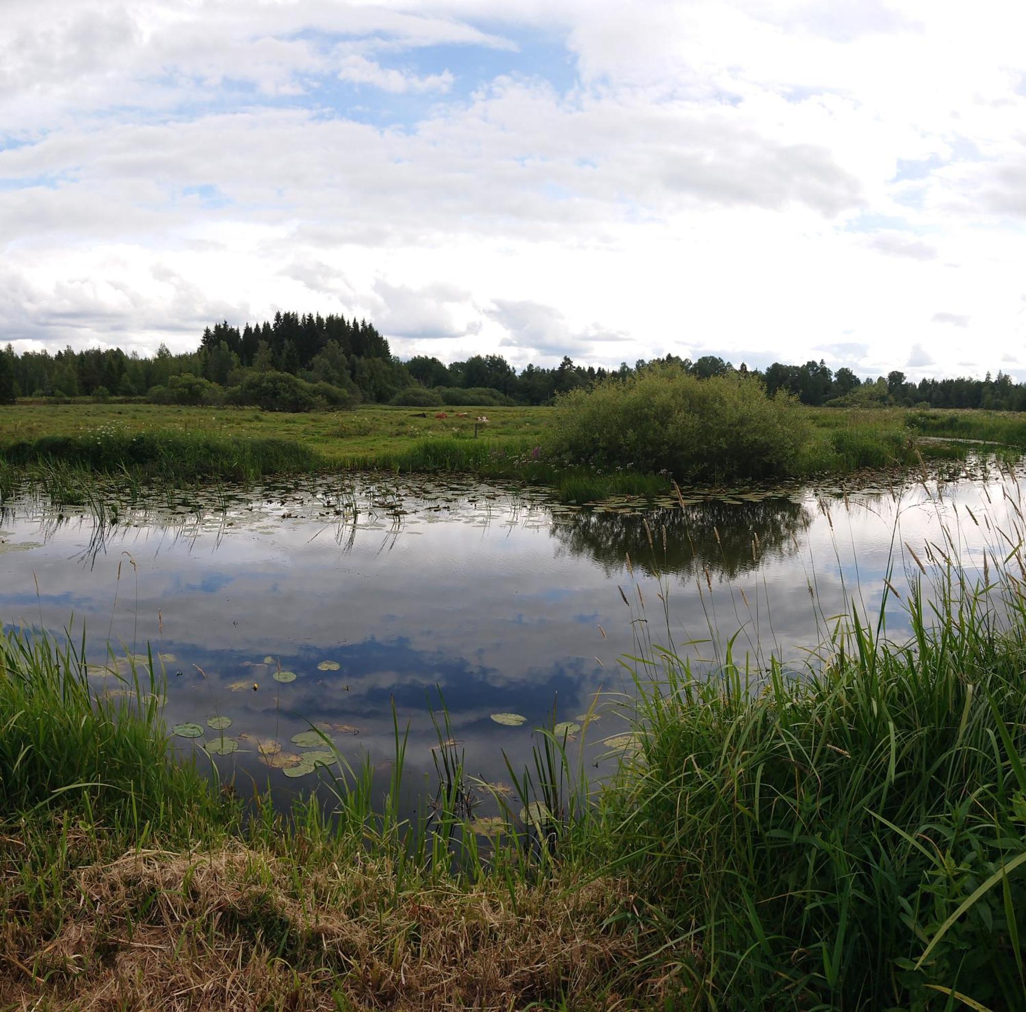 Stuga Vad Vatten Åsarp Esterno foto